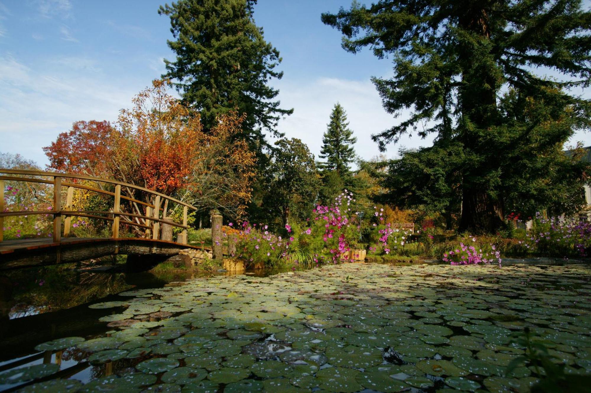 Готель Le Manoir De Bellerive Le Buisson-de-Cadouin Екстер'єр фото